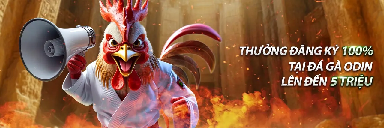 Tổng quan về nền tảng Kubet Tải App